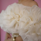 Champagne
Rosette